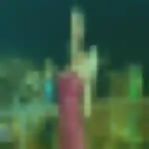 Découvre Daniela, 28 ans à Aigues-Mortes en t'inscrivant