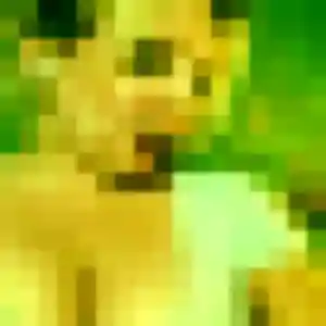 Bettina (29 ans) à Aire-sur-l'Adour propose une rencontre rapidement