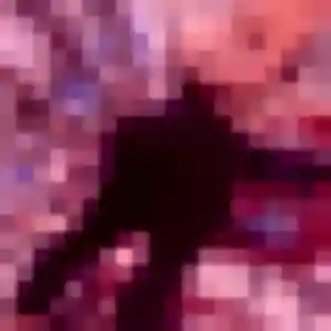 Jolie Melanie, 19 ans à Aire-sur-la-Lys - découvrir son profil