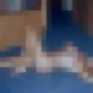 Justine, 21 ans, disponible à Aix-les-Bains pour une rencontre coquine