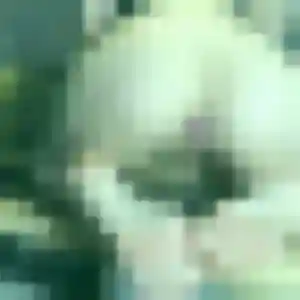 plan cul à Albertville : photo de Lily, 41 ans - inscription gratuite