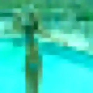 Geraldine, 23 ans, dispo pour plan cul à Alençon