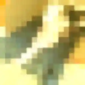 Nelly, fille de 20 ans propose plan cul à Alès