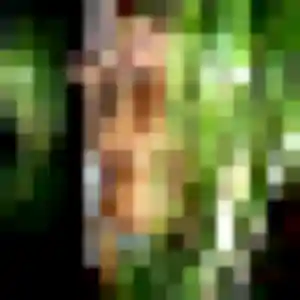 Stephanie de Algrange, 25 ans - plan cul sans prise de tête