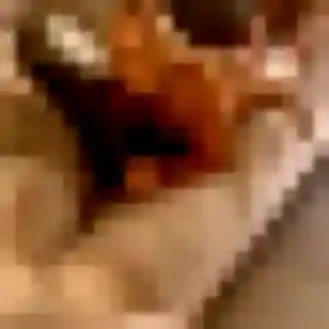 Jolie Gaelle, 19 ans à Allauch - la contacter