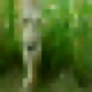 Photo de Katia à Altkirch (29 ans) - plan cul anonyme