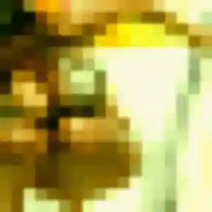 Belle Ariane, 36 ans à Ambérieu-en-Bugey - découvrir son profil