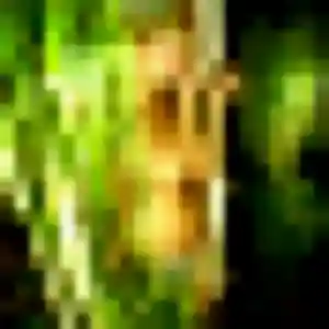 Mathilde, 33 ans, veut un plan cul à Annezin