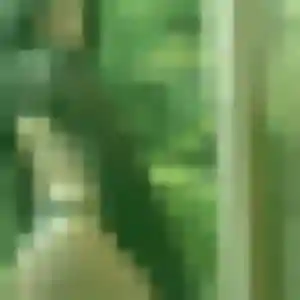 Découvre Priscilla, 26 ans à Annezin gratuitement