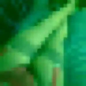 Photo perso de Lilou, 38 ans à Anzin - plan discret