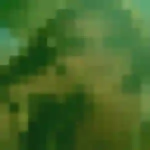 Photo de Typhaine à Anzin (36 ans) - plan cul anonyme