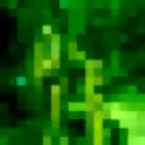 Contacte Gwendoline, 28 ans à Argenteuil gratuitement