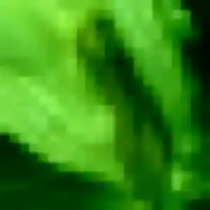 Rejoins Albertine, 21 ans à Arles gratuitement