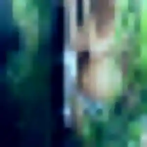 Colombe, 21 ans, disponible à Arpajon pour une rencontre coquine