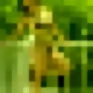 Photo exclusive de Elena, 20 ans à Asnières-sur-Seine - rencontre sans lendemain