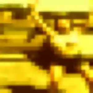 Photo sexy de Fleur, 26 ans à Aubière - rencontre coquine