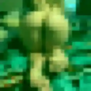 plan cul à Aubignan : photo de Ketty, 45 ans - sans engagement