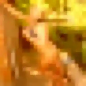 Photo exclusive de Anne-Laure, 26 ans à Audincourt - rencontre coquine