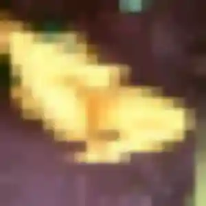 Sarah, 25 ans, veut un plan cul à Audincourt