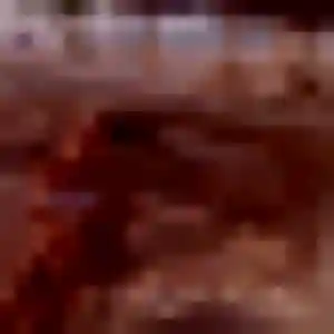 plan cul à Audruicq : profil de Lola, 44 ans - inscription gratuite