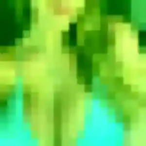 Alice, 19 ans, disponible à Auxerre pour une rencontre coquine