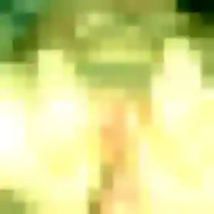 Aisha (45 ans) à Avranches attend un plan cul rapidement