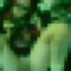 Renee de Avranches, 27 ans - plan cul sans prise de tête