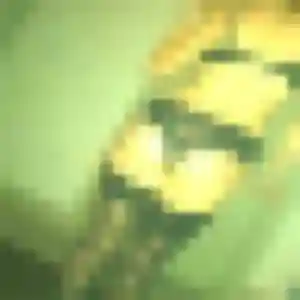 Joanne de Aytré, 34 ans - plan cul sans lendemain