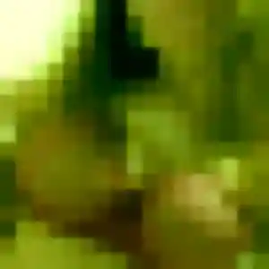 Profil de Yvonne à Basse-Terre (26 ans) - plan cul anonyme