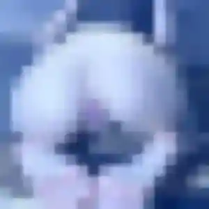 Photo de Inaya à Bastia (35 ans) - plan cul discret