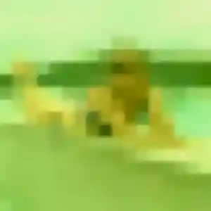 Khadija (31 ans) à Bastia propose une rencontre rapidement