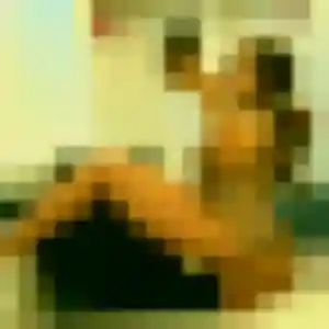 Salima, 23 ans, disponible à Bastia pour une rencontre coquine