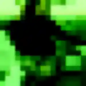 Brune, 25 ans, connectée à Baugé-en-Anjou pour une rencontre coquine