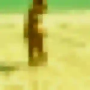 Sexy Celine, 32 ans à Beausoleil - voir sa photo