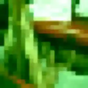 Colombe (41 ans) à Belleville-en-Beaujolais propose une rencontre maintenant