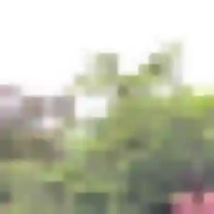 Celia (39 ans) à Berre-l'Étang propose un plan cul ce soir