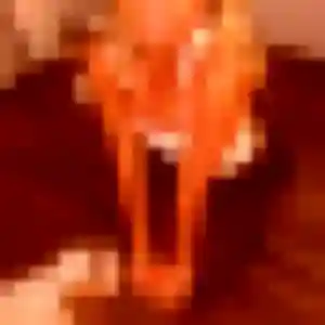 Rencontre Deborah, 44 ans à Besançon gratuitement