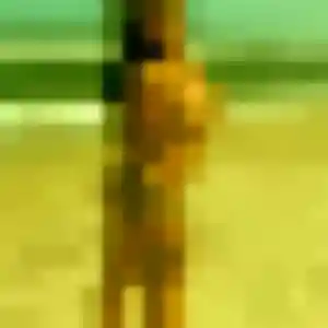 Lisette, 29 ans, connectée à Bessan pour une rencontre coquine