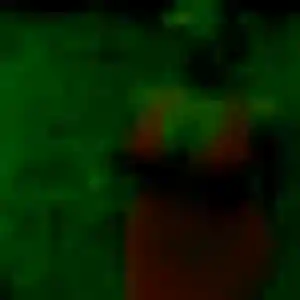 Germaine, femme de 24 ans veut plan cul à Bessancourt