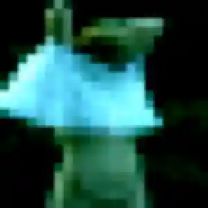 Sexy Gaia, 24 ans à Béziers - voir sa photo