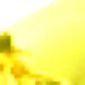 Jolie Dounia, 42 ans à Binic-Étables-sur-Mer - la contacter