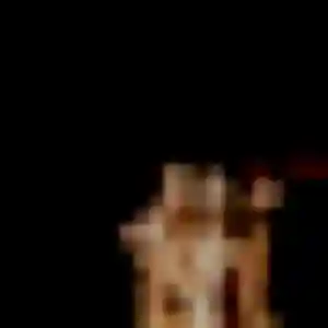 Nelly, femme de 23 ans veut plan cul à Binic-Étables-sur-Mer