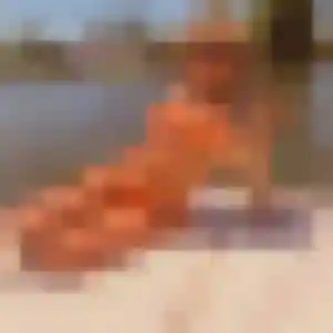 Oceane de Binic-Étables-sur-Mer, 32 ans - plan cul sans lendemain