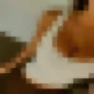 Jennifer, 44 ans, dispo pour plan cul à Bischheim