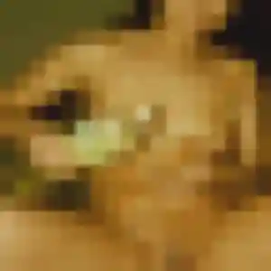 Jennifer, fille de 34 ans propose plan cul à Blainville-sur-Orne