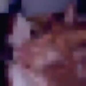 Photo exclusive de Josephine, 37 ans à Blanquefort - rencontre sans lendemain