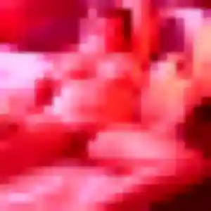 Découvre Vinciane, 37 ans à Blois en t'inscrivant