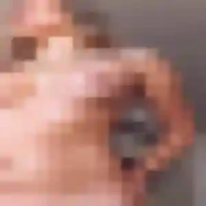 Mathilde, 19 ans, dispo pour plan cul à Bois-d'Arcy