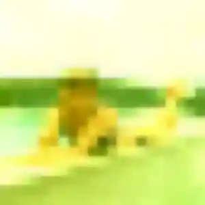 Domitille (22 ans) à Bompas attend un plan cul rapidement