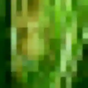 plan cul à Bouc-Bel-Air : profil de Oumaima, 27 ans - sans engagement